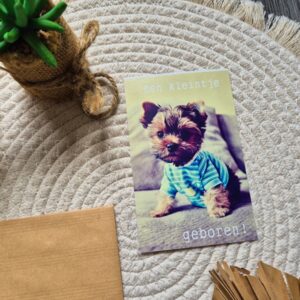 Wenskaart met een schattige hondje om de ouders te feliciteren met de geboorte van hun kleintje.