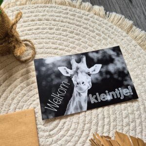 Zwart-wit wenskaart van een giraffe om de ouders te feliciteren met de geboorte en de kleine uk welkom te heten.